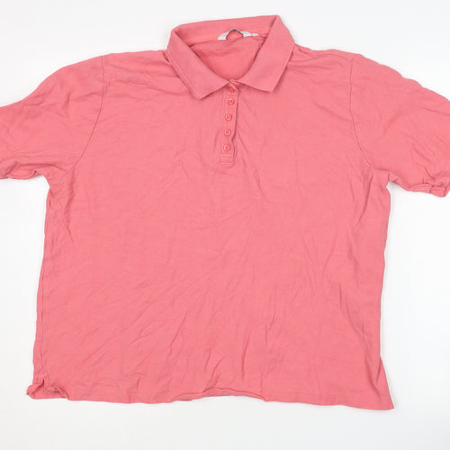 ISLE Women's Pink Cotton Polo Shirt XL Casual Plus