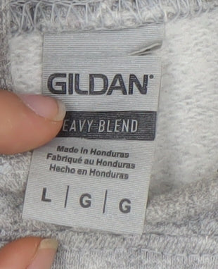 Gildan Men's Grey NASA Hoodie, Size L, Pullover