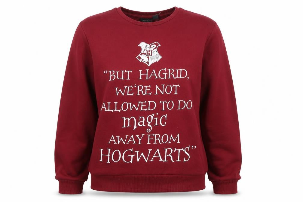 Front view of Harry Potter unisex adults red pullover sweatshirt, size 16