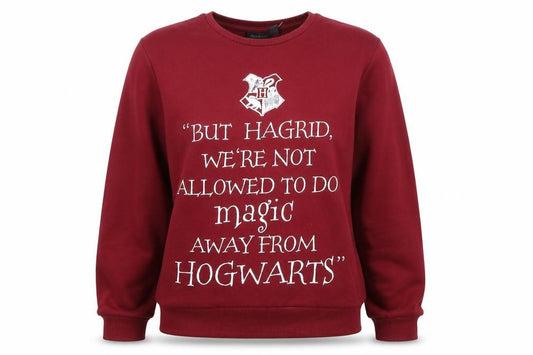 Front view of Harry Potter unisex adults red pullover sweatshirt, size 16