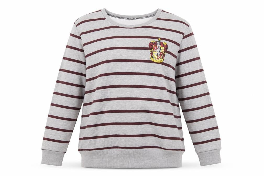 Front view of Harry Potter unisex adults grey striped pullover sweatshirt l