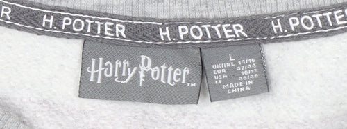 Harry Potter Unisex Adults Grey Striped Pullover Sweatshirt L