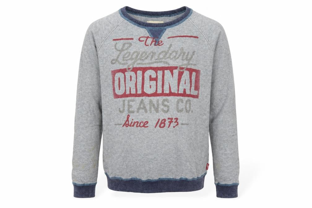 Front view of Levi's boys’ grey jumper 14 years, graphic print