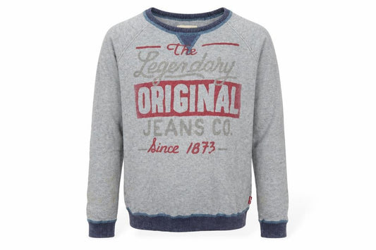 Levi's Boys Grey Pullover Jumper 14 Years, Graphic Print