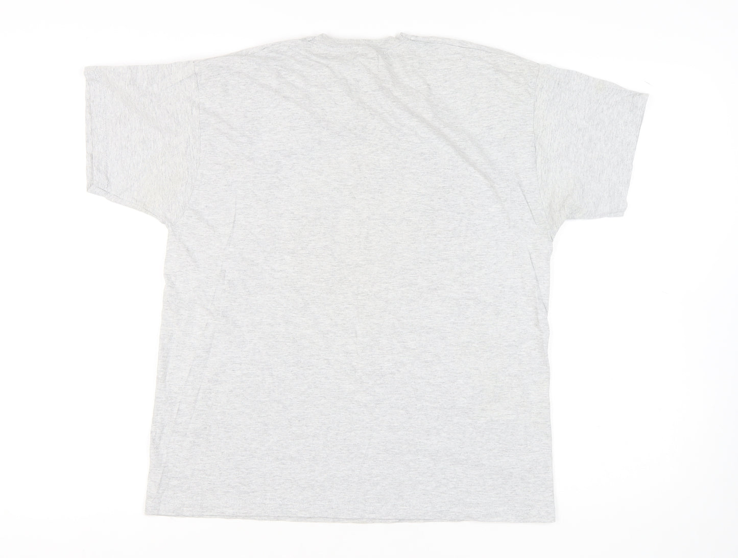 Fruit of the Loom Men's Grey Graphic Print T-Shirt, L
