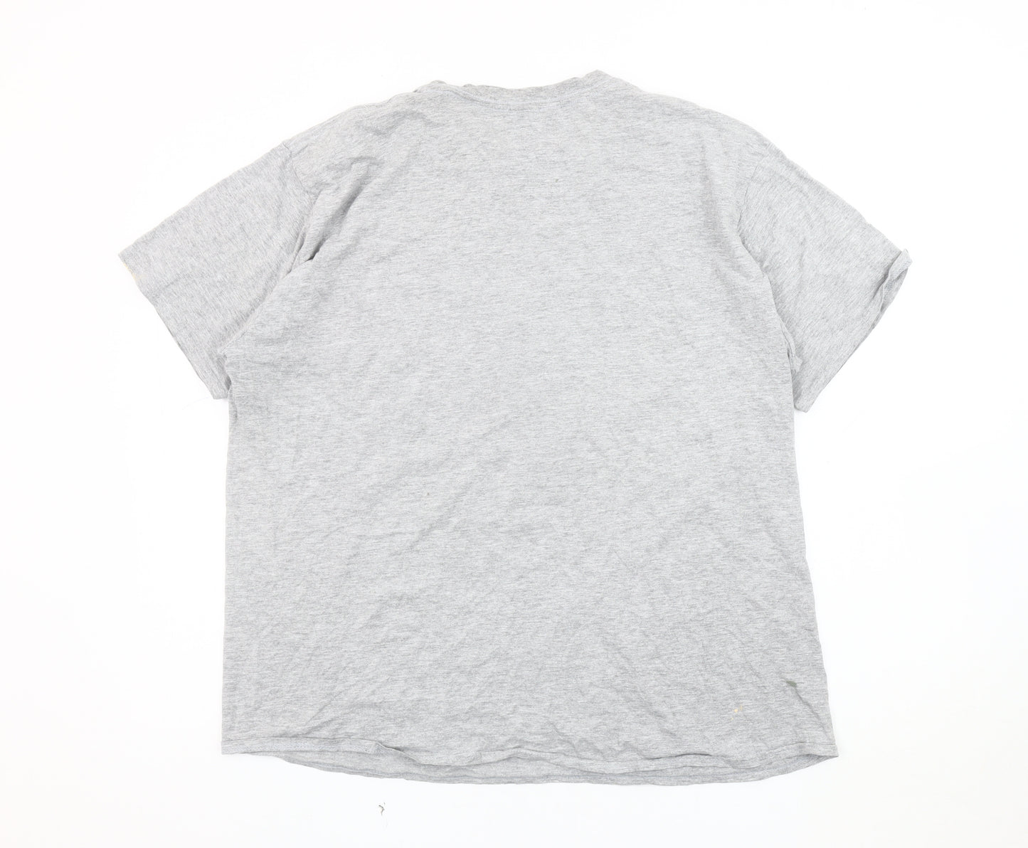 Burton Menswear Grey XL Nature Graphic T-Shirt