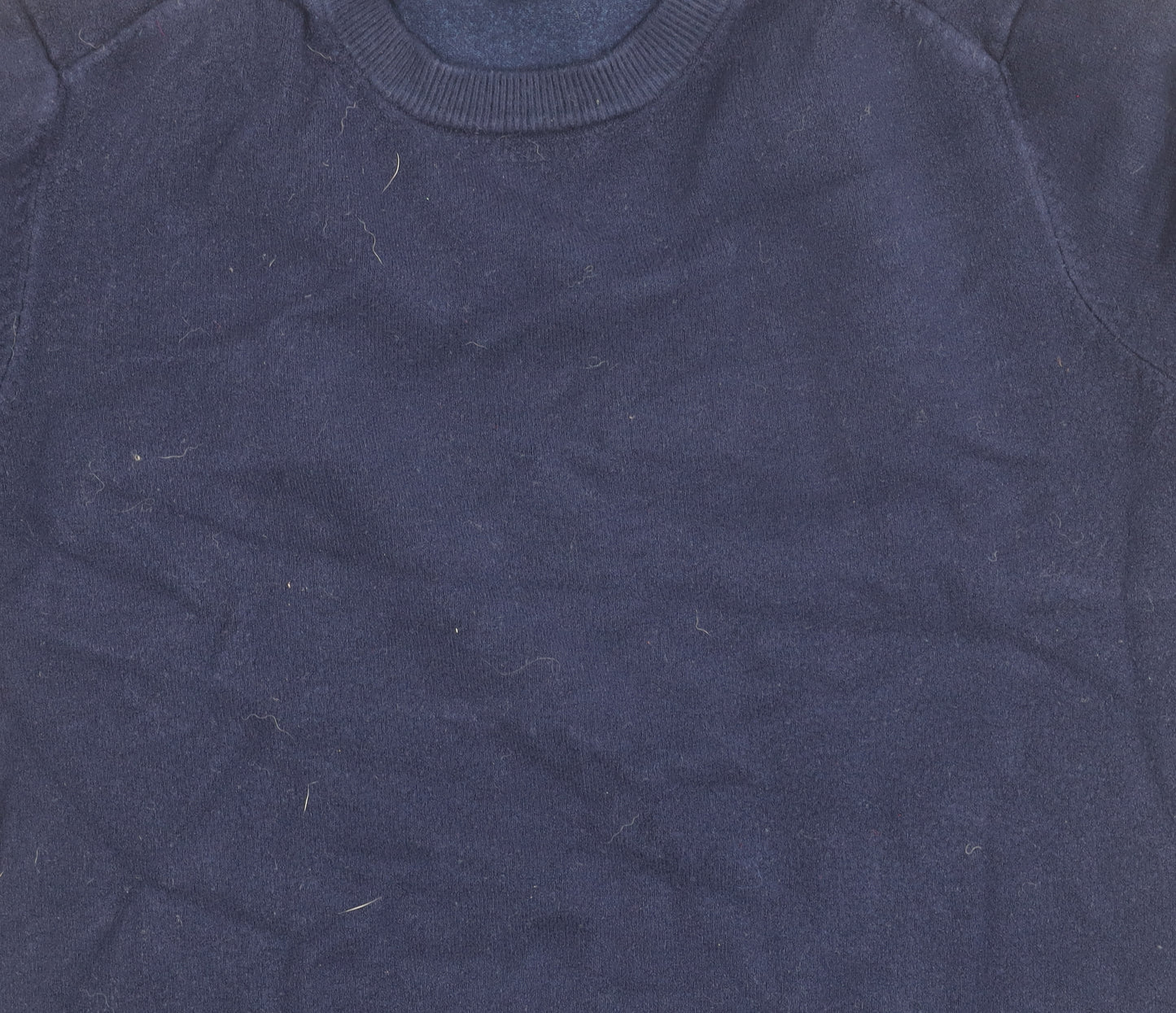 Zara Unisex Blue Medium Pullover Crew Neck Jumper