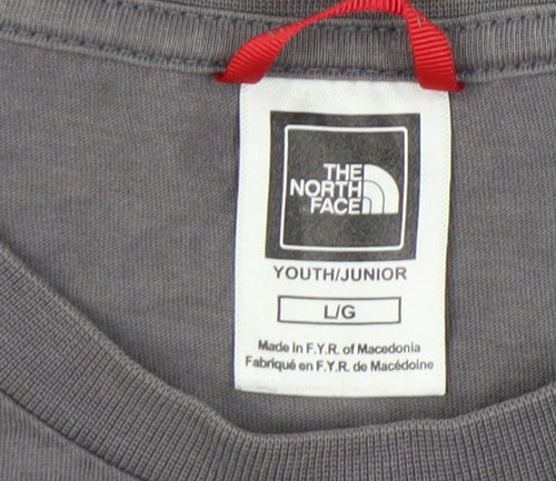 The North Face Boys Grey Logo T-Shirt Size L Casual