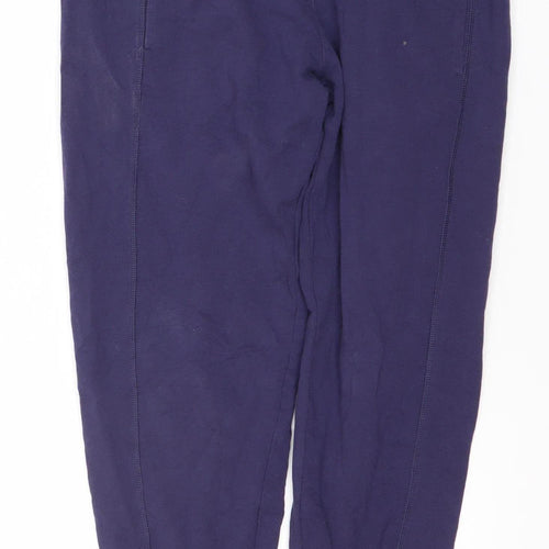 Adidas Women Blue Jogger Gym Pants
