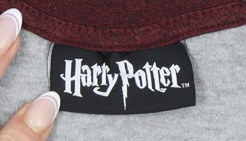 Harry Potter Men's Gryffindor T-Shirt Small Grey