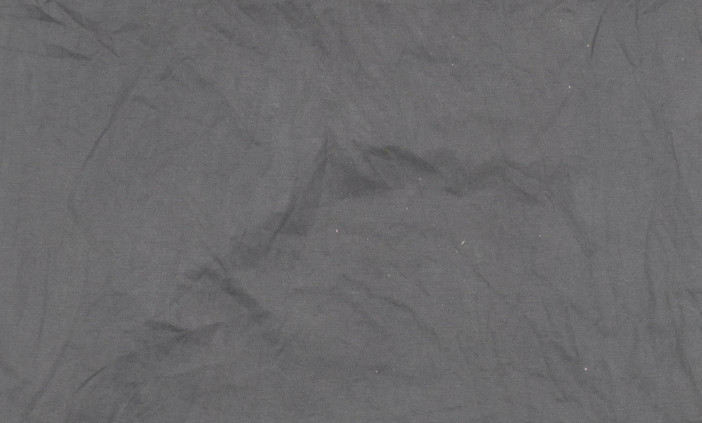 Body Spinner Men's Grey Graphic Print T-Shirt L