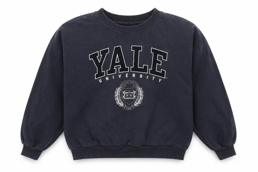 Front view of H&M unisex blue m yale logo pullover sweatshirt
