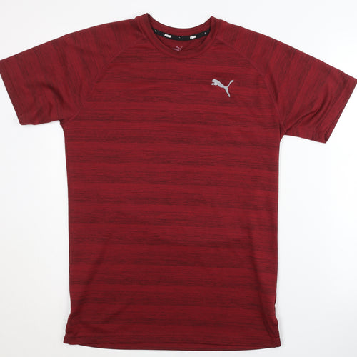 Puma Men's Red Gym & Training T-Shirt, Size S
