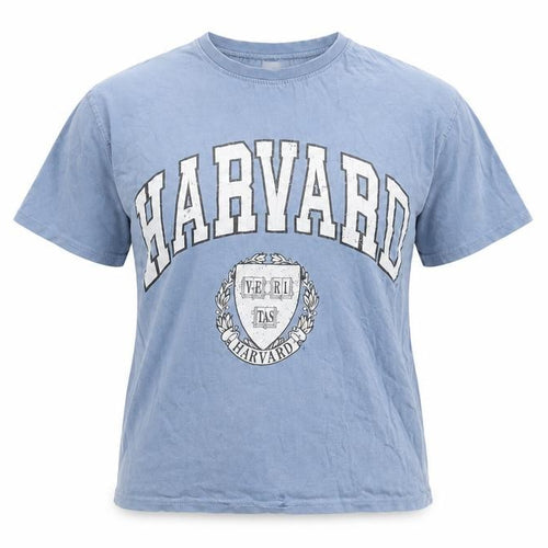 Zara Blue Women’s T-Shirt Size 10, Harvard Print