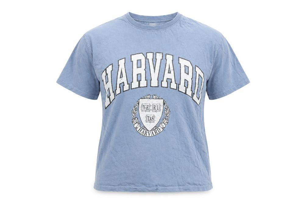 Zara Blue Women’s T-Shirt Size 10, Harvard Print