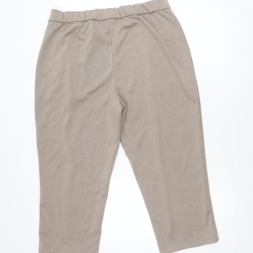 Elie Tahari Women's Brown Trousers L