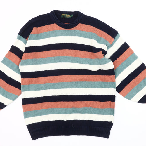 Country Trader Men's XL Multicoloured Striped Pullover