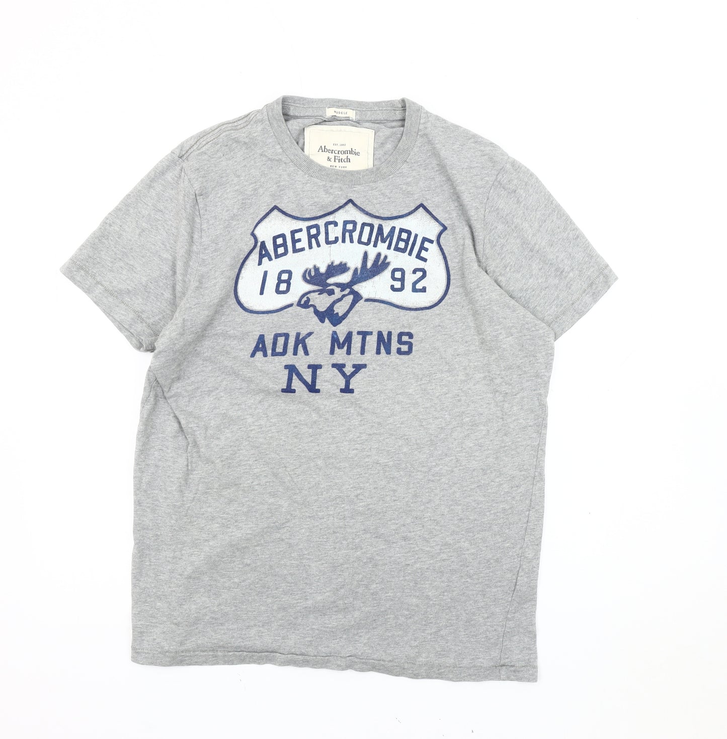 Abercrombie & Fitch Men's Grey Graphic T-Shirt L