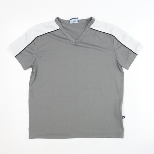 Fishbone Unisex Grey Polyester T-Shirt, Size S