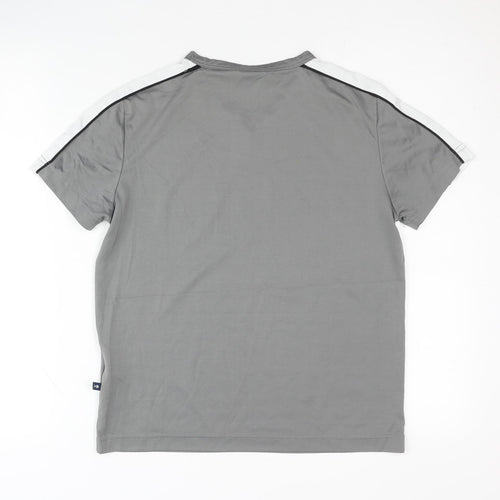 Fishbone Unisex Grey Polyester T-Shirt, Size S