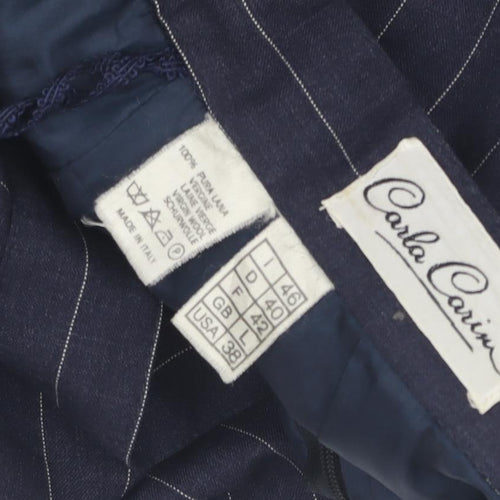 Carla Carini Women's Blue Striped Pencil Skirt Size 12