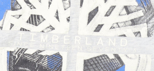Timberland Boys Grey Long Sleeve T-Shirt 3-4 Years