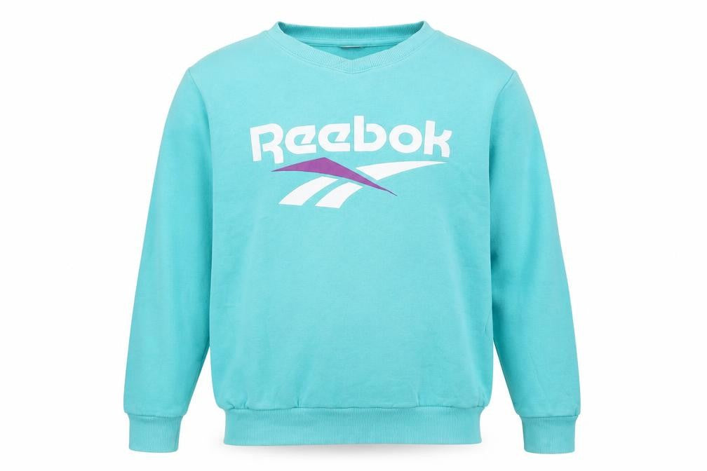 Reebok Blue Men's Medium Pullover Sweatshirt