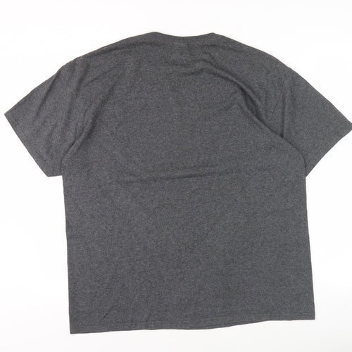 Delta Pro Weight Men's Grey Retro Graphic T-Shirt L