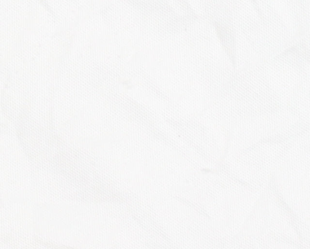 Crane Men's White V-Neck Activewear Top L