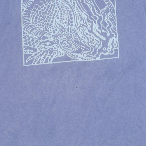 Twenty One Pilots Blue Graphic Men's Small T-Shirt