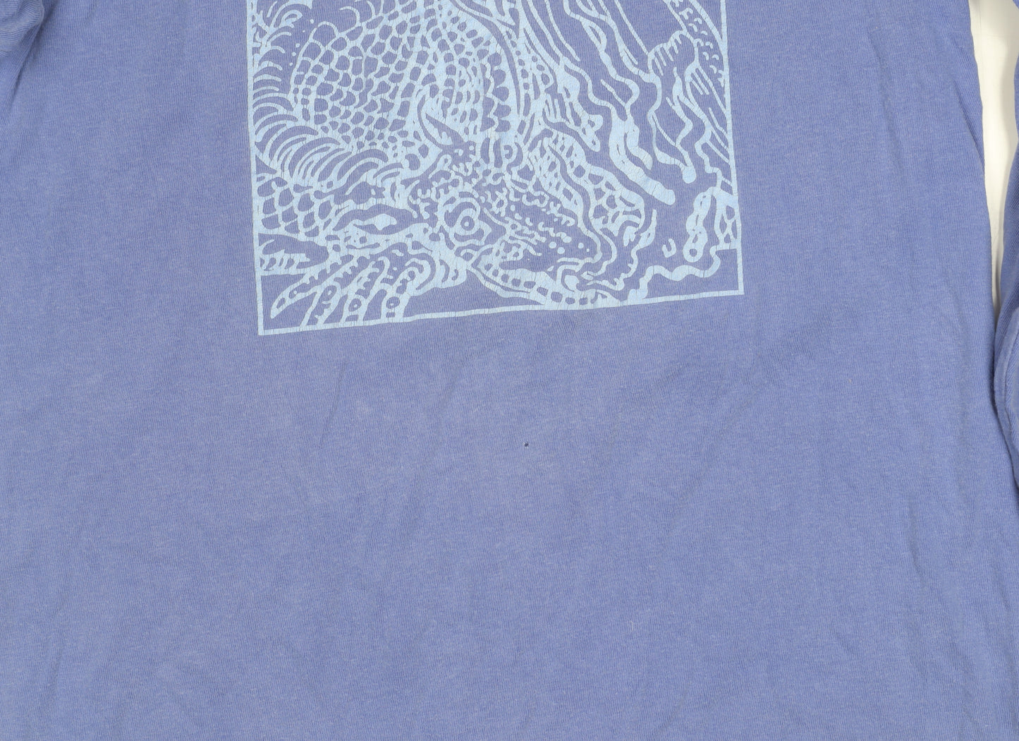 Twenty One Pilots Blue Graphic Men's Small T-Shirt