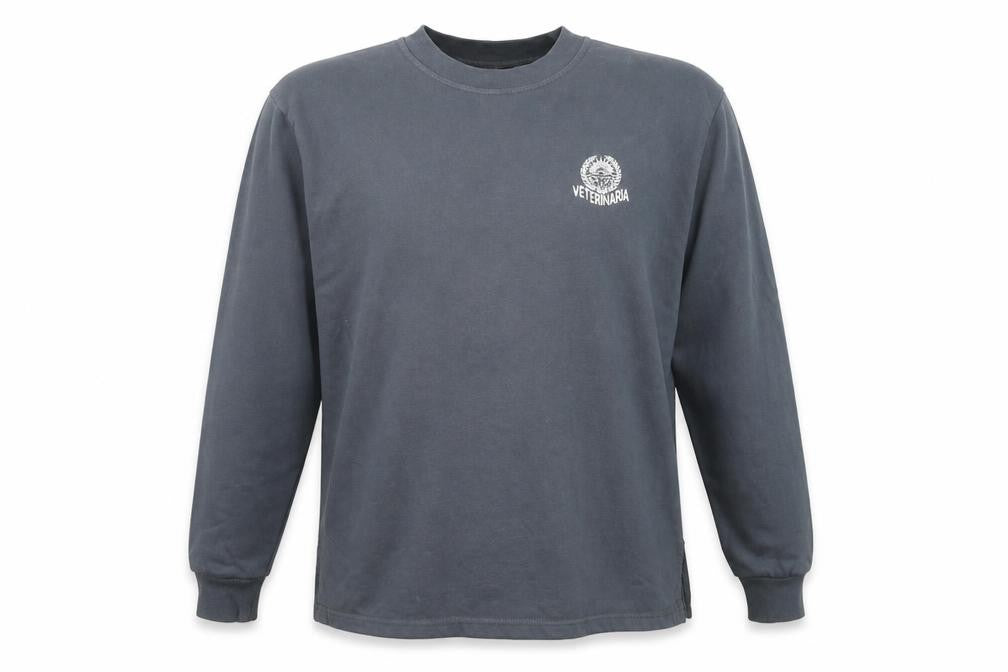 Front view of Rapife Men's Grey Pullover Graphic Sweatshirt - S