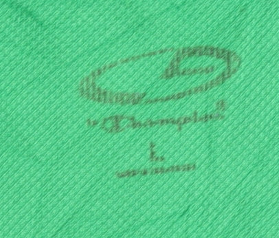 Champion Men's Green T-Shirt, Size L