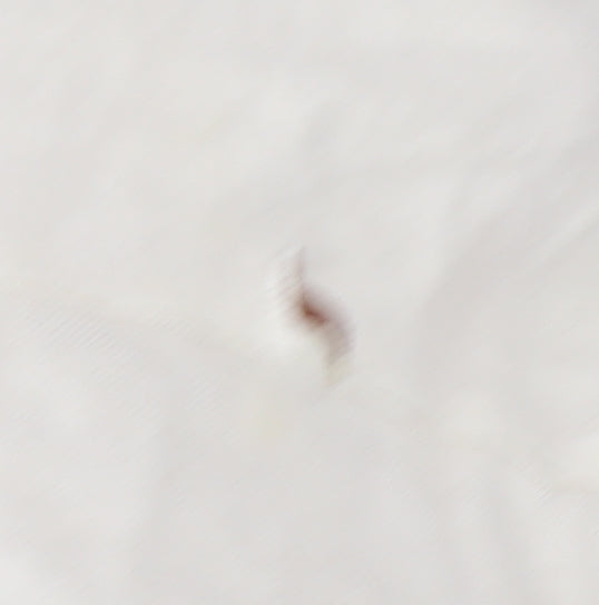 Gildan Men’s Ivory AC/DC Band Graphic T-Shirt Size L