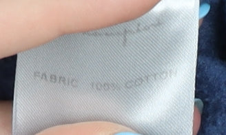 Champion Men's Blue Pullover Hoodie Small Regular Fit Cotton Logo