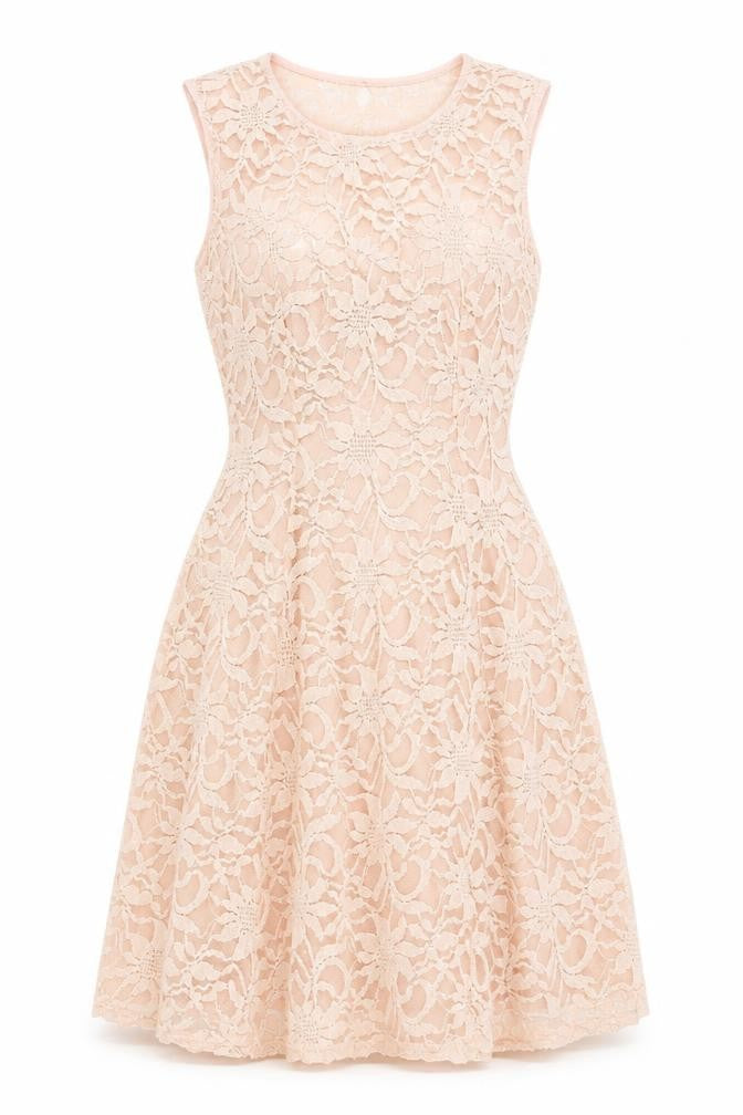 I-X London Women's Pink Size 12 Sleeveless Fit & Flare Lace Dress