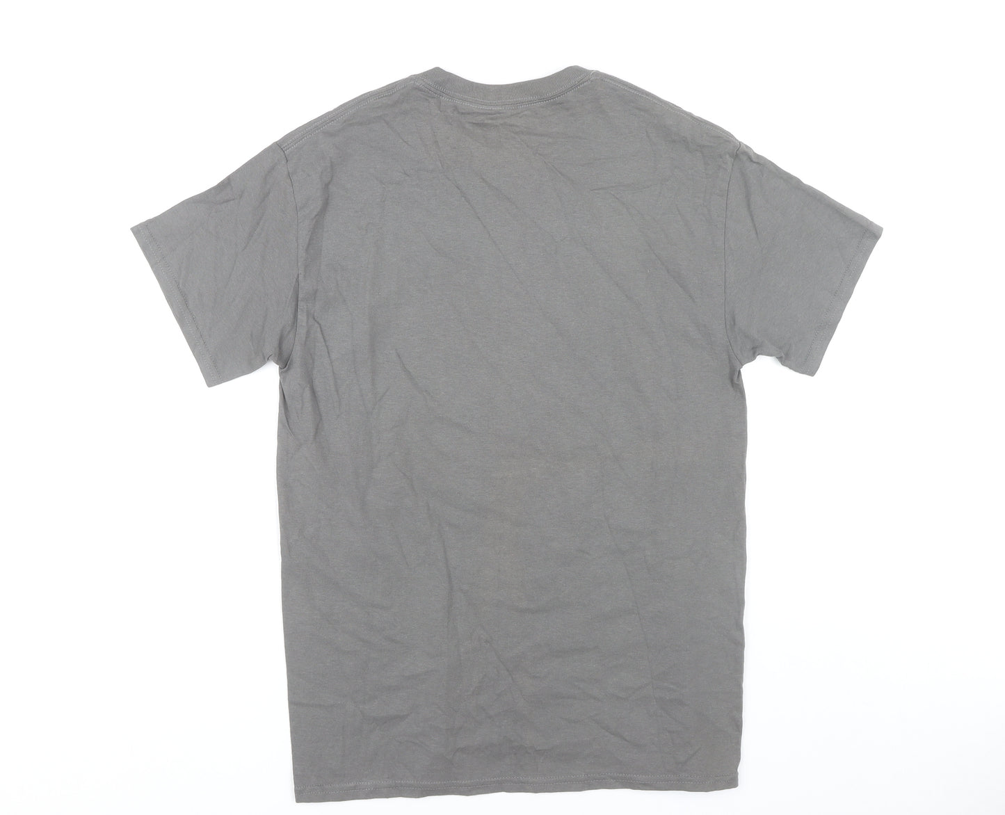 Bathroom Wall T-Shirts Men's Grey Graphic Print Crew Neck Tee M
