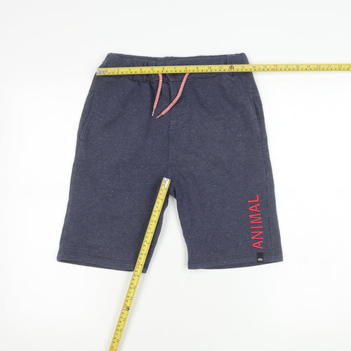 Animal Boys Blue Sweat Shorts 11-12Y French Terry Elastic Waist