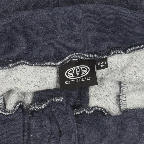 Animal Boys Blue Sweat Shorts 11-12Y French Terry Elastic Waist