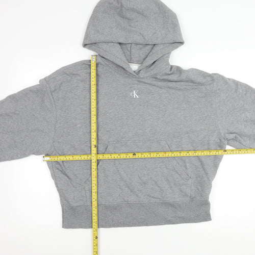 Calvin Klein Jeans Womens Grey Cotton Blend Pullover Hoodie M