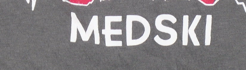 Gildan Men’s Grey XL Ski Sports Graphic T-Shirt Crew Neck