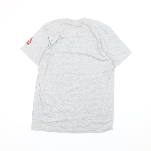 Reebok Men’s Grey Ireland UFC Graphic T-Shirt Size L