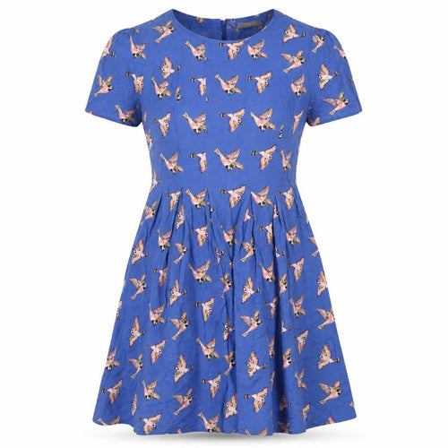 Oasis Women’s Blue Bird Print Fit & Flare Dress UK 10 Short Sleeve