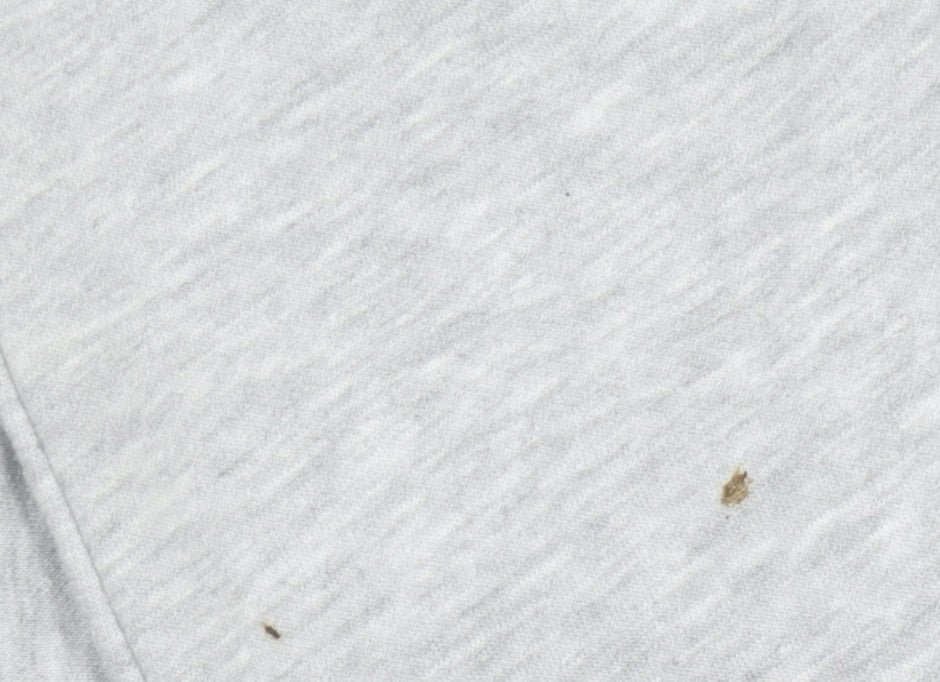 Friends Girls Grey Sweatshirt 12-13Y Graphic Pullover Casual