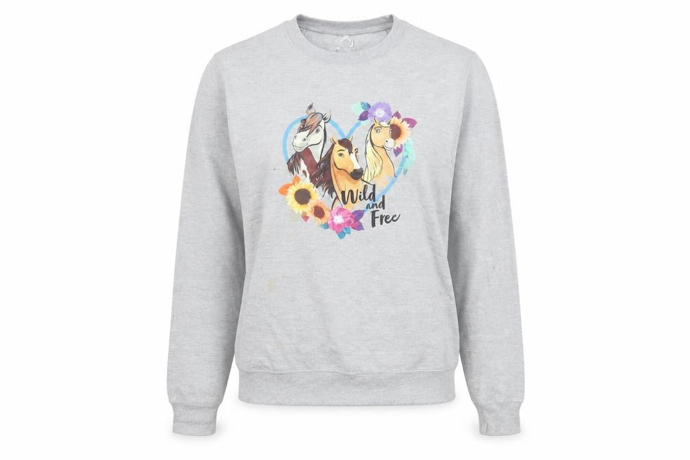 Front view of Port & Company DreamWorks Spirit women’s grey small pullover sweatshirt