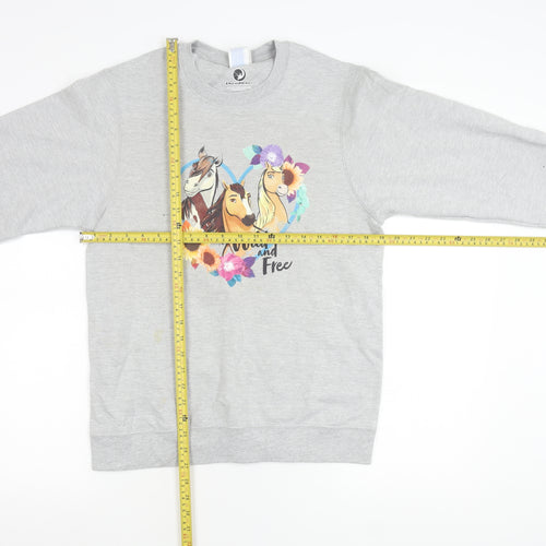 Port & Company DreamWorks Spirit Womens Grey Small Pullover Sweatshirt