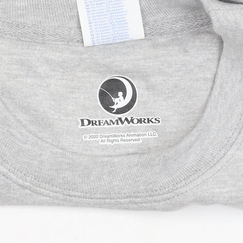 Port & Company DreamWorks Spirit Womens Grey Small Pullover Sweatshirt