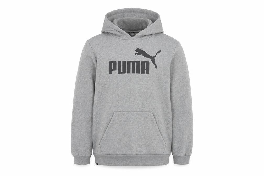 Front view of Puma boys’ grey pullover hoodie size 16y regular fit logo sportswear