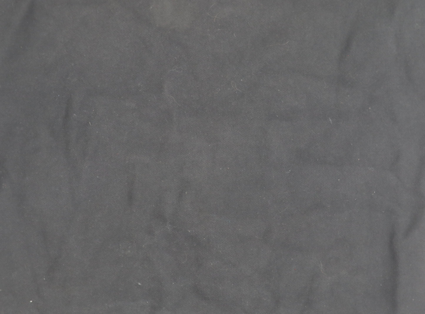 Champion Men's Black Small Pullover Sweatshirt Crew Neck Logo