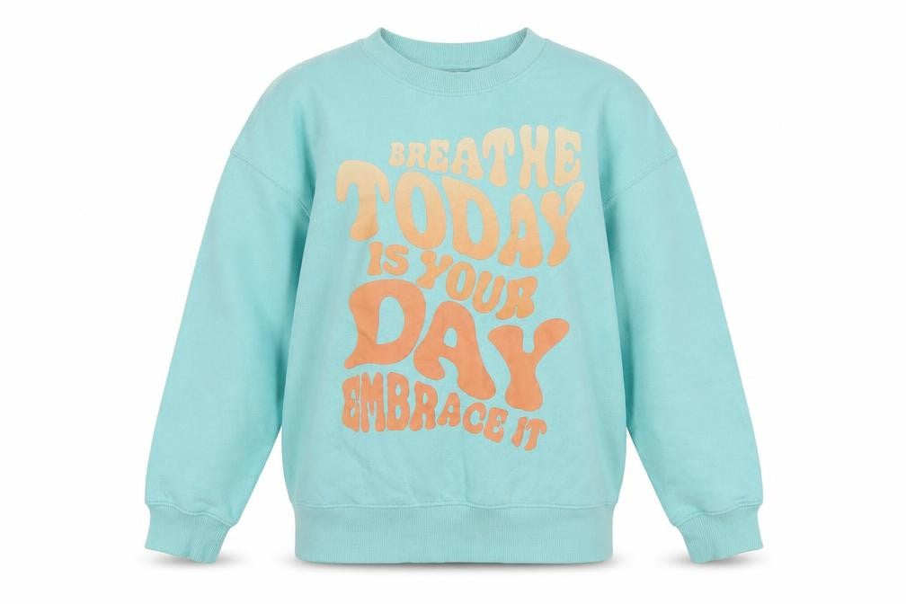 Front view of H&M boys’ blue graphic print sweatshirt 9-10y pullover crew neck